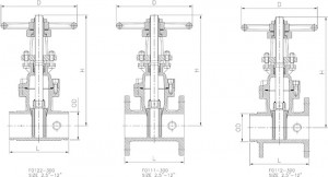 2.5-12-OS&Y-Resilient-Seated-Gate-Valves